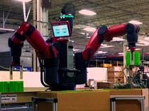 Baxter at work at The Rodon Group